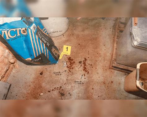 leaked murdaugh crime scene photos|Every Gruesome Crime Scene Photo Revealed In。